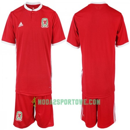 Koszulka Walia Dziecięcy Domowe Stroje Piłkarskie 2018-2019 Krótki Rękaw